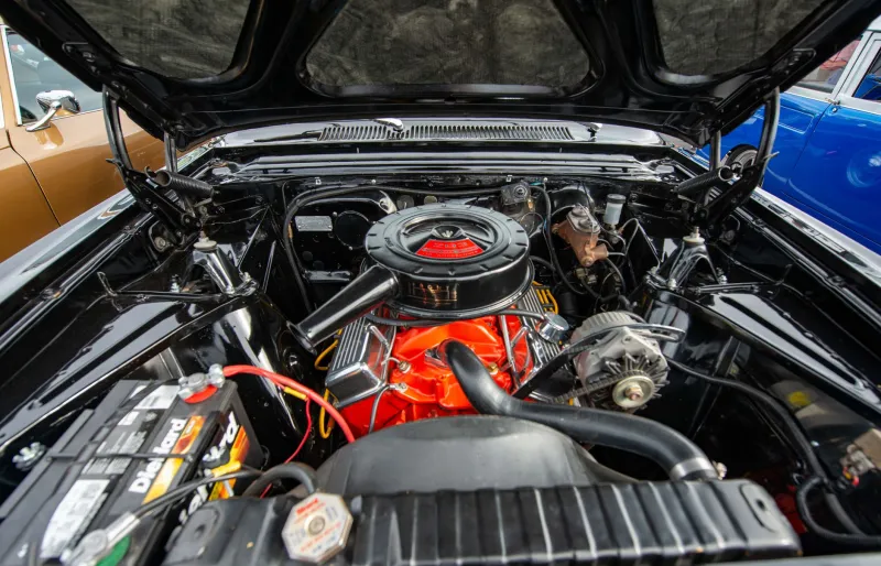 Stranded at the Pump: Evaluating Long-Term Parts Viability Before You Fall in Love With a Rare Engine